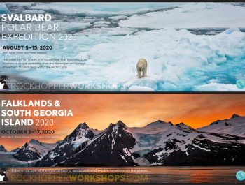 South Georgia and Svalbard Workshops